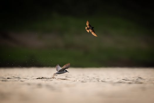 晶科电子2.68亿参设基金 携广州国资重仓第三代半导体 新闻