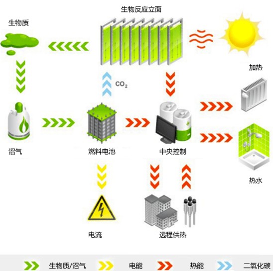  新知 绿色藻类建筑板：能发电，还可吸收二氧化碳 新闻 新知 绿色藻类建筑板：能发电，还可吸收二氧化碳 新闻