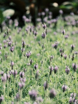  阿拉伯沙漠迎来页岩气新时代；沙特阿美贾夫拉项目强势启动。 新闻 阿拉伯沙漠迎来页岩气新时代；沙特阿美贾夫拉项目强势启动。 新闻 阿拉伯沙漠迎来页岩气新时代；沙特阿美贾夫拉项目强势启动。 新闻