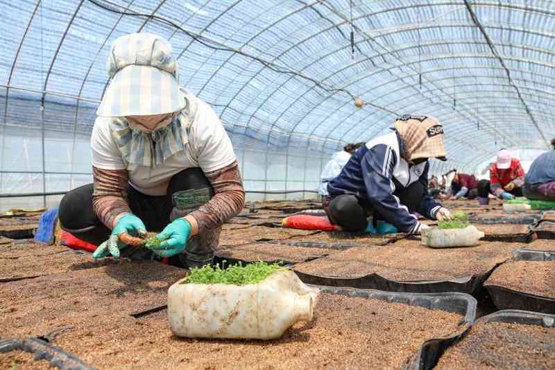  总书记心系乡村，两个德胜村的故事串起深沉牵挂。 文化旅游