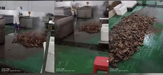  网红主播带货牛肚引争议，生产环境问题曝光；监管部门迅速介入调查。 娱乐新闻