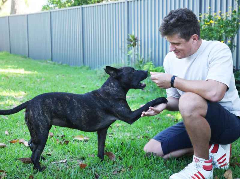  【深度揭秘：AI辅助医疗的边界与突破】——普通人如何重构生命救助路径 IT技术