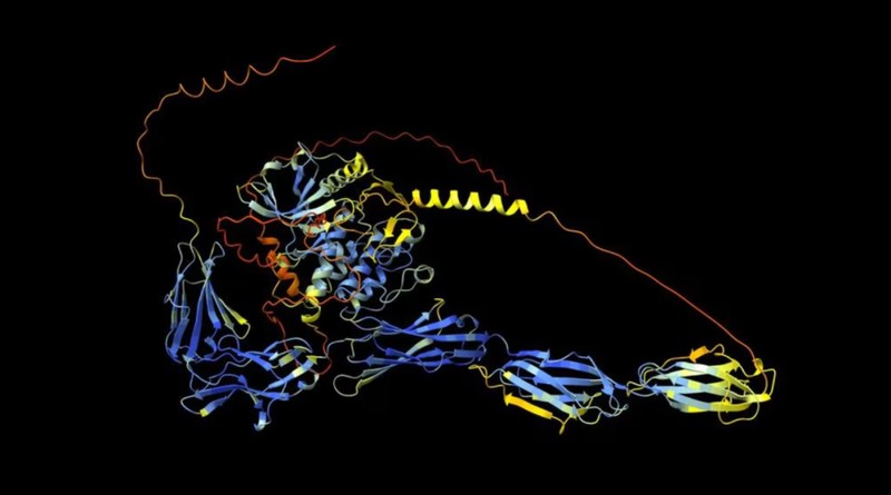  【深度揭秘：AI辅助医疗的边界与突破】——普通人如何重构生命救助路径 IT技术