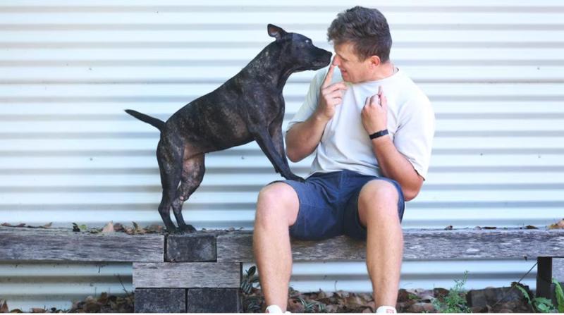  【深度揭秘：AI辅助医疗的边界与突破】——普通人如何重构生命救助路径 IT技术