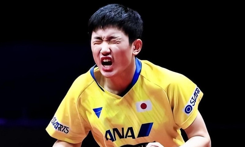  技术解码：日本重金挖角张本宇背后的中式训练体系迁移 体育新闻