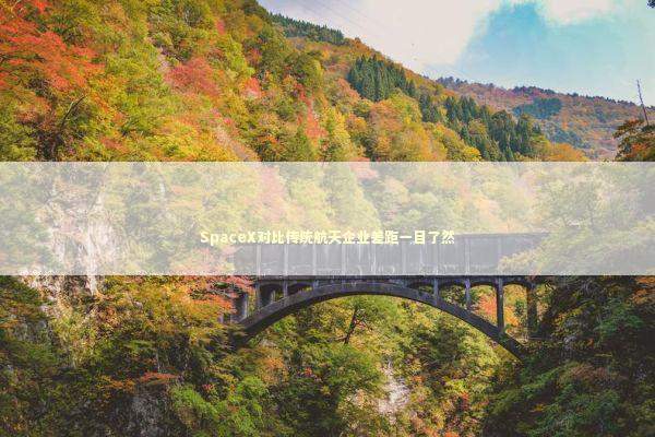 SpaceX对比传统航天企业差距一目了然 新闻