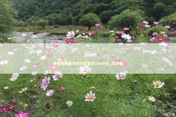 老铺黄金涨价克均价逼近3000元_实用型