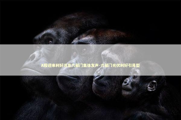 A股迎来利好消息六部门集体发声-六部门光伏利好引用型 新闻