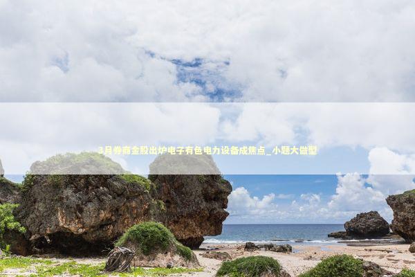 3月券商金股出炉电子有色电力设备成焦点_小题大做型