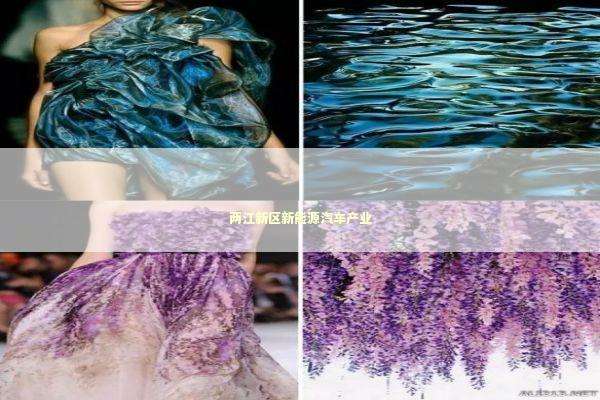 两江新区新能源汽车产业 新闻