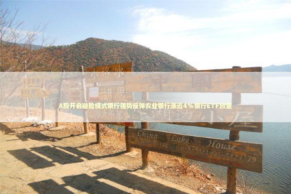 A股开启避险模式银行强势反弹农业银行涨近4%银行ETF放量