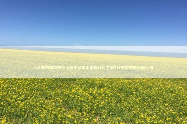 2月车市遇季节性调整多家车企销量环比下滑3月有望迎来回暖行情