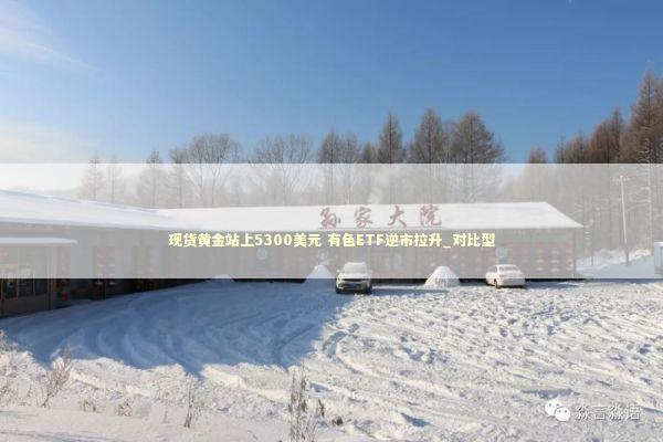 现货黄金站上5300美元 有色ETF逆市拉升_对比型