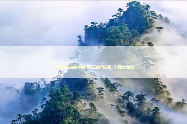 霍尔木兹海峡停航 国际油价飙涨_小题大做型 新闻