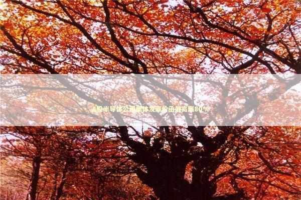 A股半导体公司集体发涨价函最高涨80% 新闻