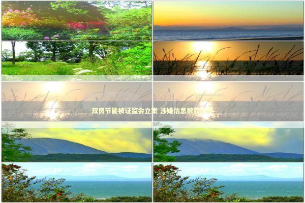 双良节能被证监会立案 涉嫌信息披露违规