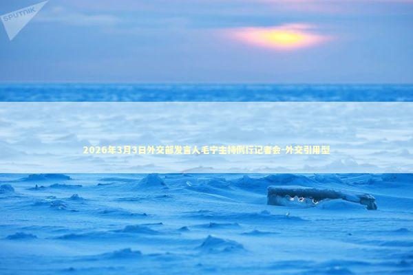 2026年3月3日外交部发言人毛宁主持例行记者会-外交引用型