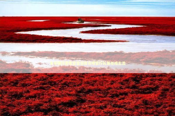 多家银行密集官宣首席合规官行长兼任成主流 新闻