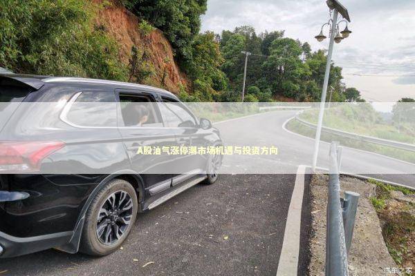 A股油气涨停潮市场机遇与投资方向 新闻