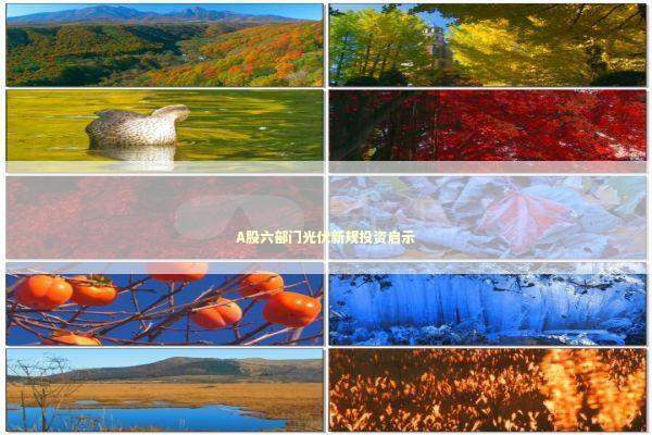 A股六部门光伏新规投资启示