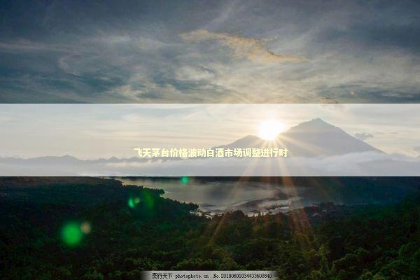 飞天茅台价格波动白酒市场调整进行时 新闻