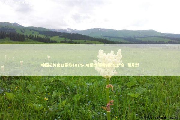 韩国芯片出口暴涨161% AI超级周期创历史新高_引用型
