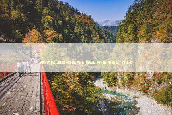 韩国芯片出口暴涨161% AI超级周期创历史新高_对比型