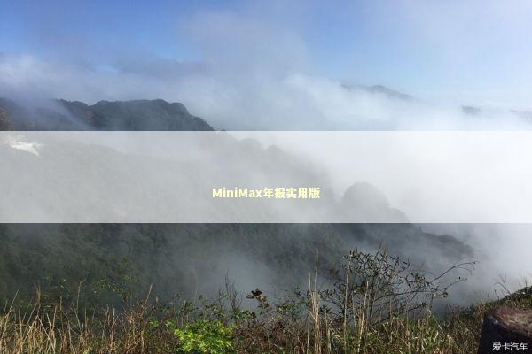 MiniMax年报实用版