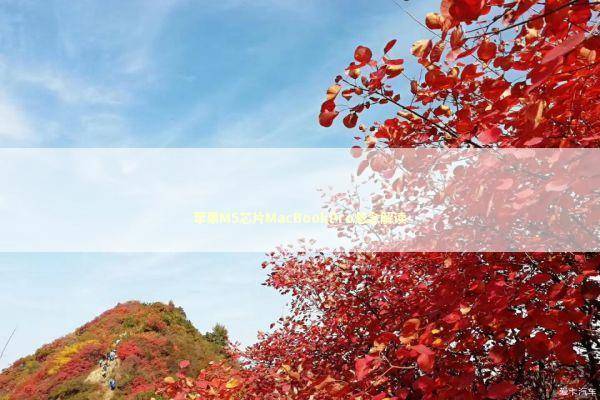 苹果M5芯片MacBookPro悬念解读