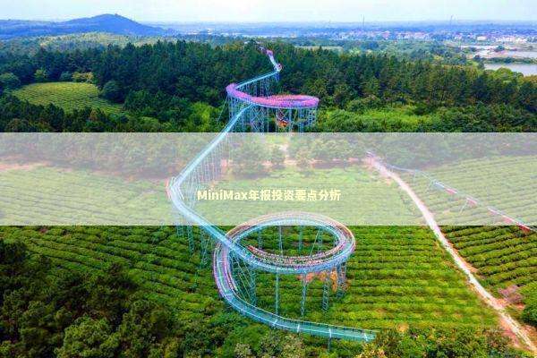 MiniMax年报投资要点分析 新闻