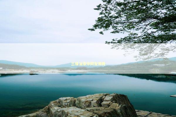 三桶油涨停网友沸腾