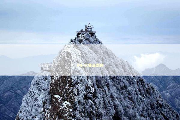 04-三桶油涨停 新闻