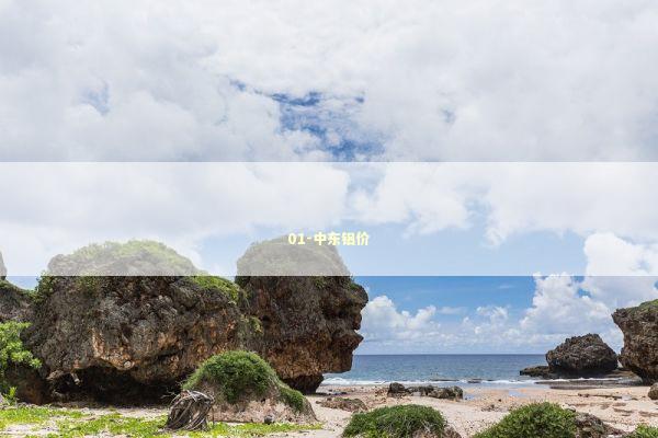 01-中东铝价 新闻