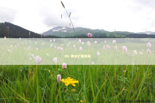 06-黄金矿商格局