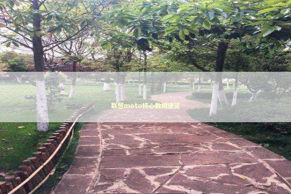 联想moto核心数据速览