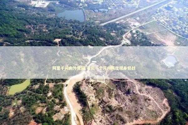 阿里千问内外交困 马云一个月内两度现身督战