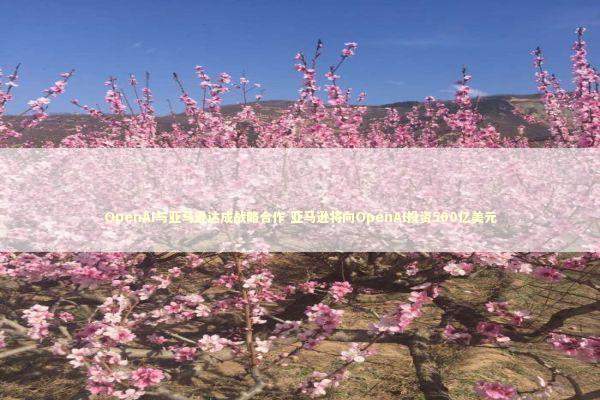 OpenAI与亚马逊达成战略合作 亚马逊将向OpenAI投资500亿美元 新闻