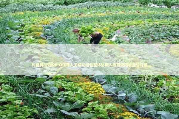 和夏科技港股IPO保荐人无成功经验整体协调人牌照受限被监管盯紧