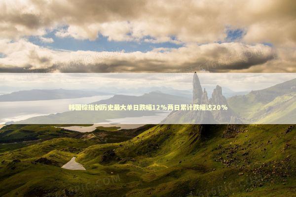 韩国综指创历史最大单日跌幅12%两日累计跌幅达20% 新闻