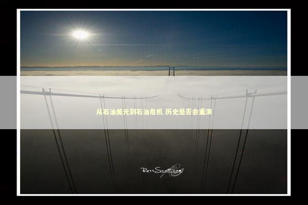 从石油美元到石油危机 历史是否会重演