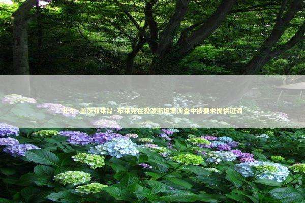 比尔·盖茨和莱昂·布莱克在爱泼斯坦案调查中被要求提供证词 新闻