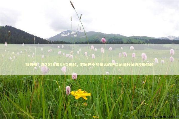 商务部：自2026年3月1日起，对原产于加拿大的进口油菜籽征收反倾销税 新闻