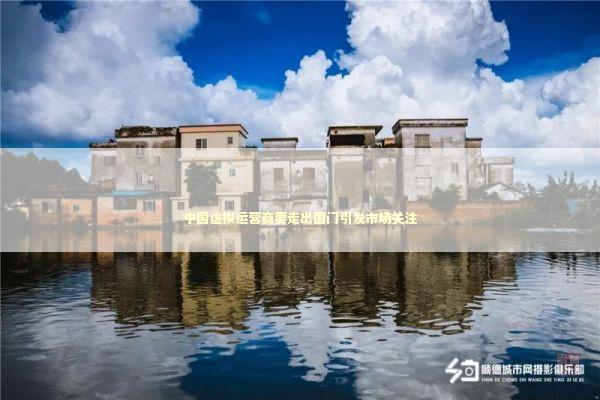 中国虚拟运营商要走出国门引发市场关注