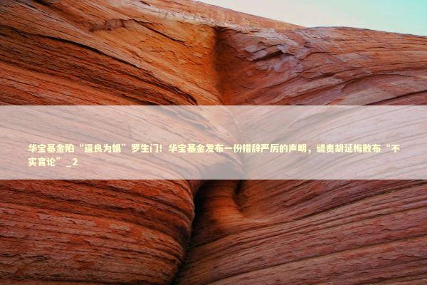 华宝基金陷“逼良为娼”罗生门！华宝基金发布一份措辞严厉的声明，谴责胡延梅散布“不实言论”_2 新闻