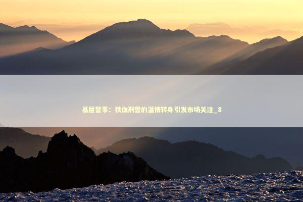 基层警事：铁血刑警的温情转身引发市场关注_8