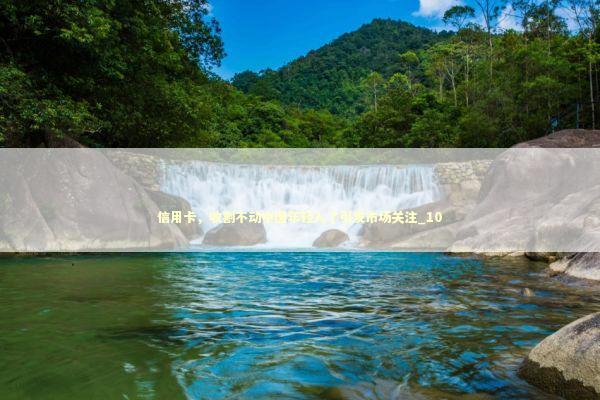 信用卡，收割不动中国年轻人了引发市场关注_10