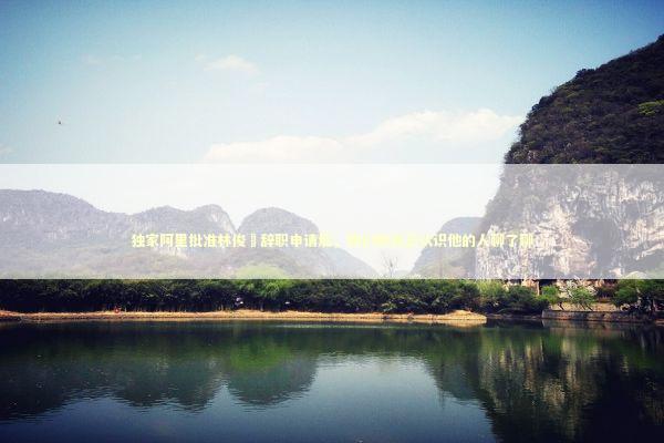 独家阿里批准林俊旸辞职申请后，我们和真正认识他的人聊了聊 新闻