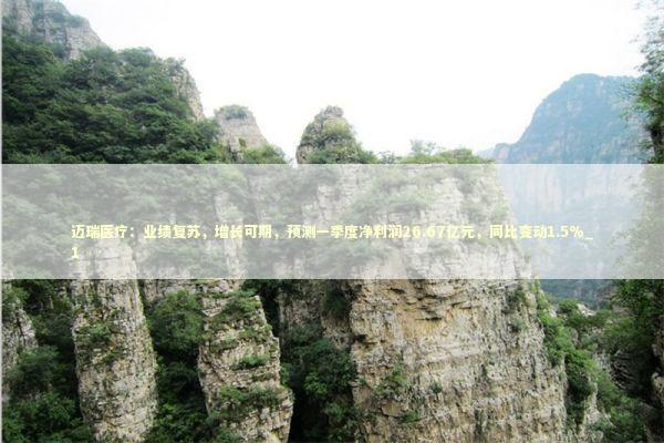 迈瑞医疗：业绩复苏，增长可期，预测一季度净利润26.67亿元，同比变动1.5%_1