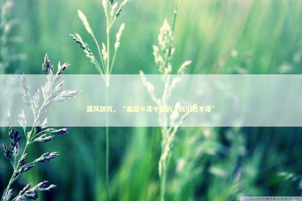 跟风跳坑，“美国不用中国的，我们也不用”
