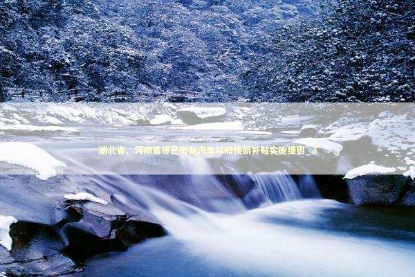 湖北省、河南省等已出台汽车以旧换新补贴实施细则_3